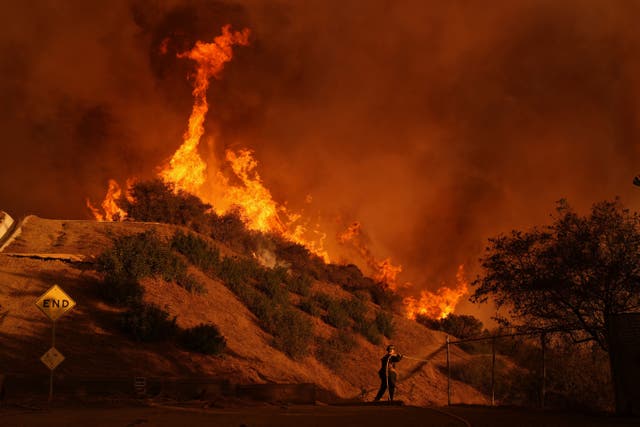 <p>California Wildfires Palisades Investigation</p>