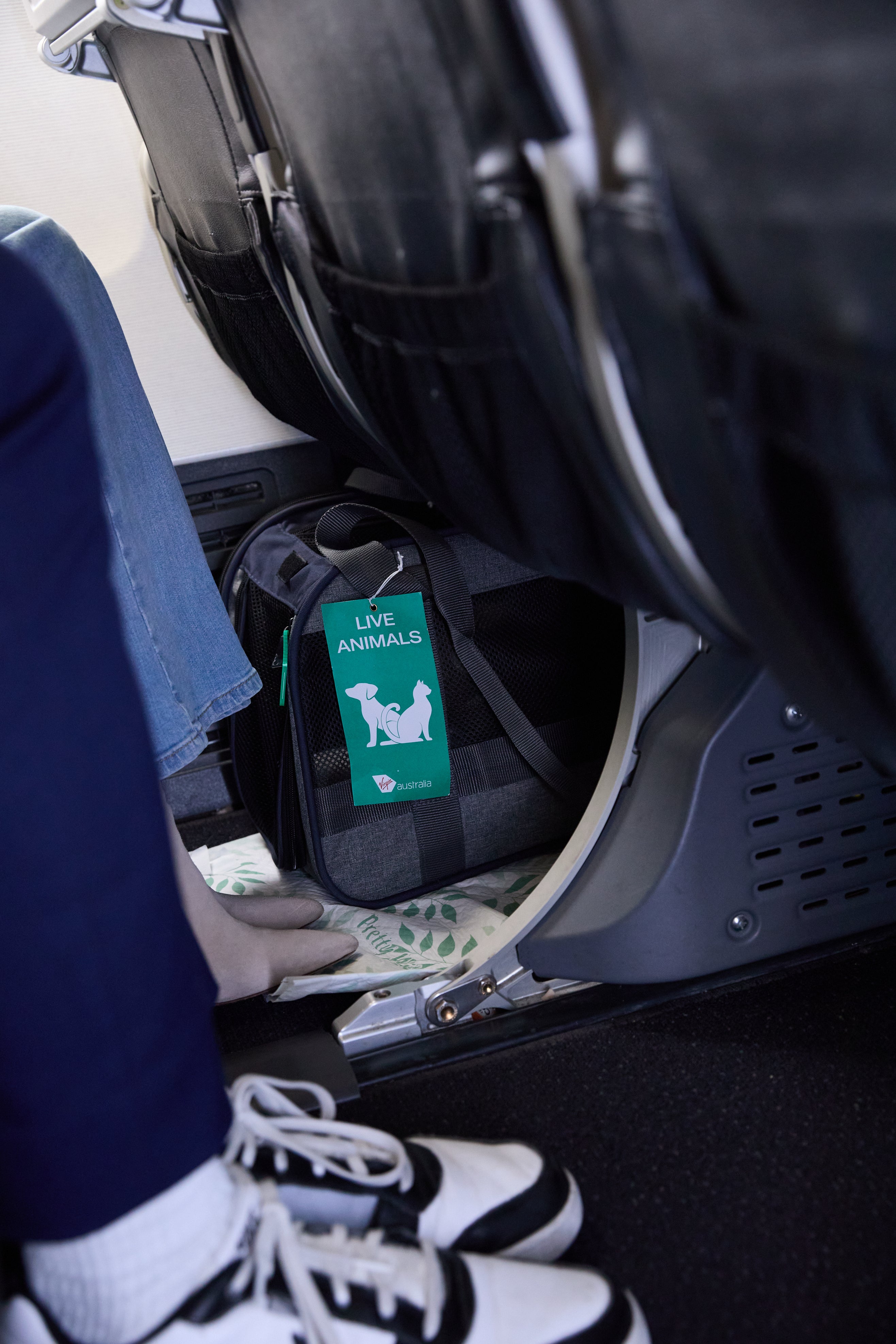 The trial service has initially launched until 30 January 2026