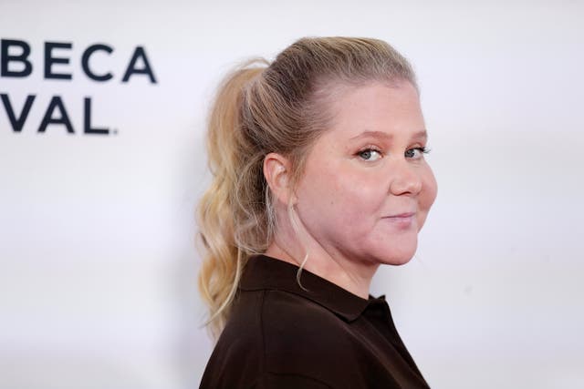 <p>Amy Schumer attends the "Bunny" Premiere during 2025 Tribeca Festival at Village East Cinema on June 14, 2025 in New York City</p>