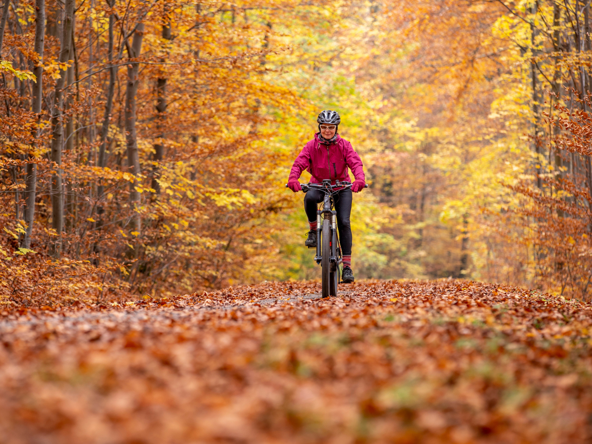 You can hire bikes for as little as £5 at some National Trust locations