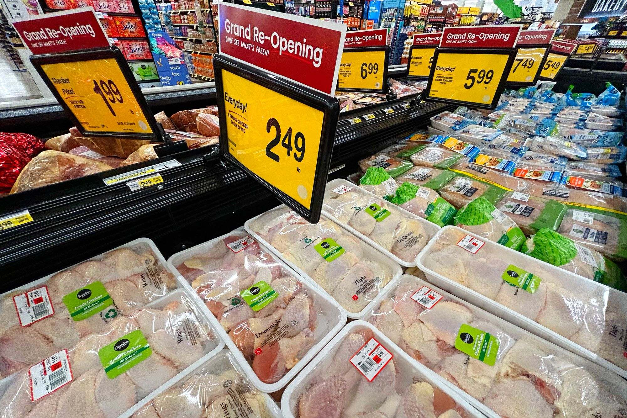 E. coli strains were most commonly found in chicken and turkey