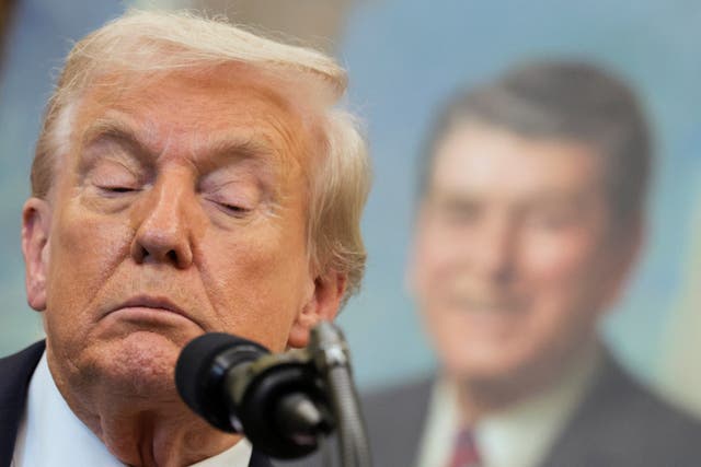 <p>‘American primacy was built on the very things Trump is dismantling, first among them, the rule of law’</p>