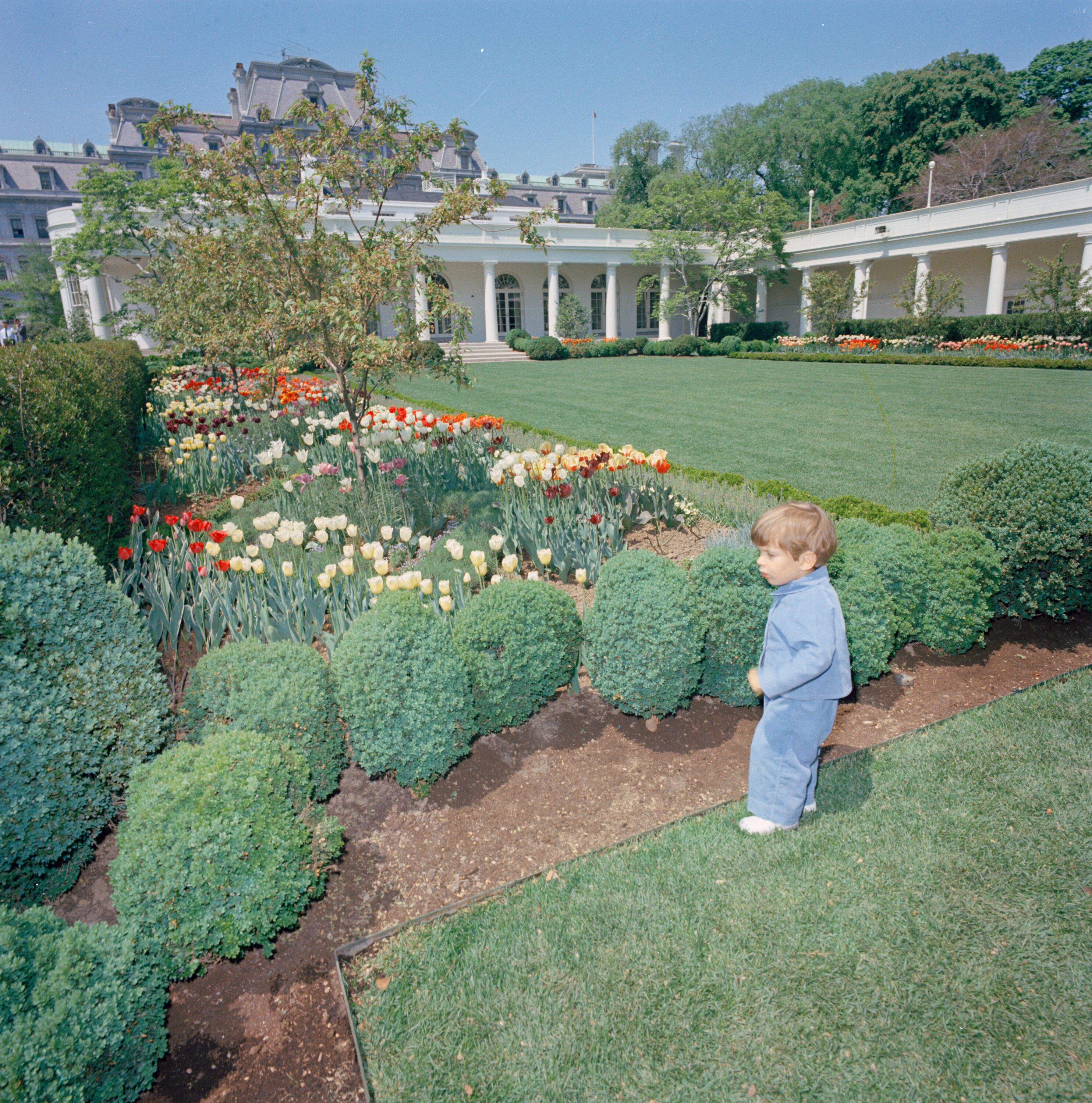 <p>Jack Schlossberg shared a picture of JFK Jr. in the White House’s Rose Garden as he railed against Trump’s decision to pave over the historic lawn</p>