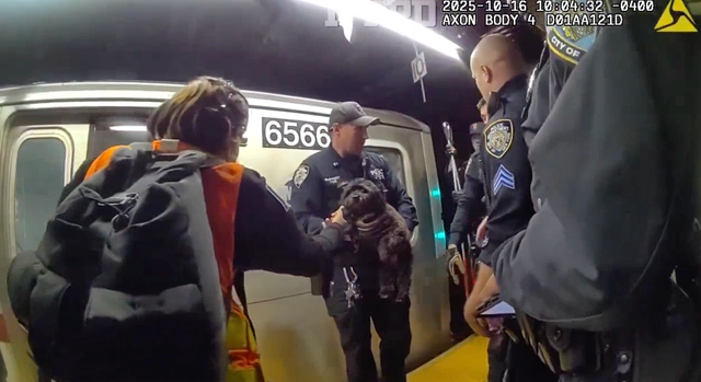 <p>Runaway dog rescued from under train tracks at busy station</p>