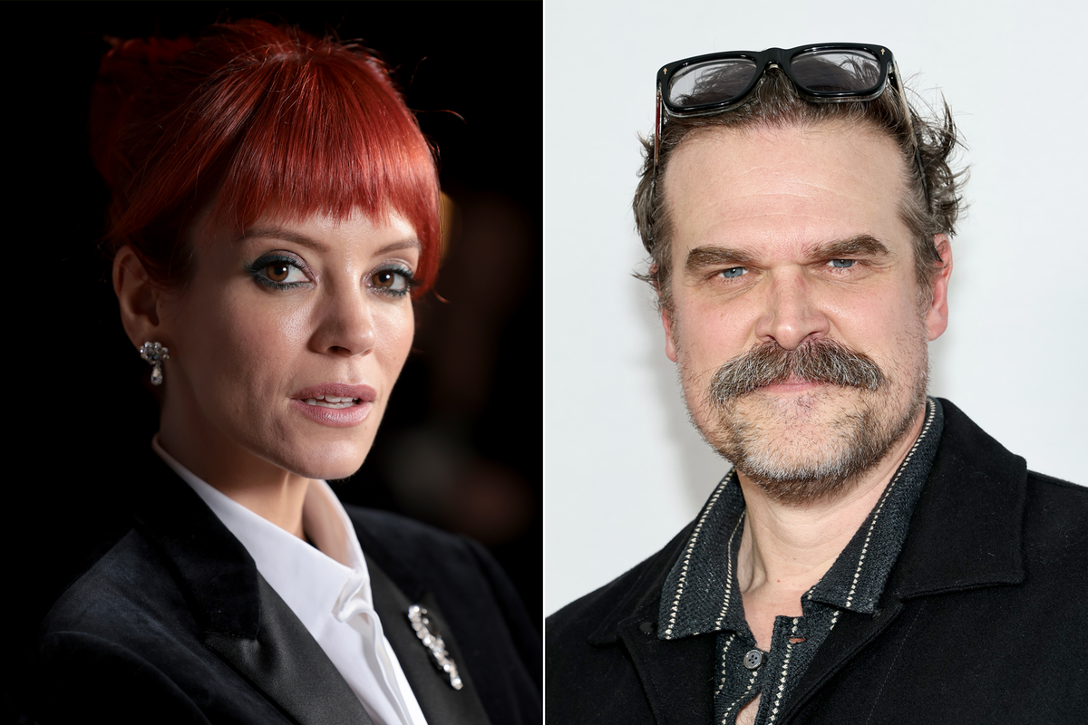 Lily Allen says David Harbour reacted generously to her divorce album