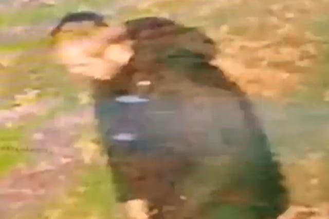 <p>Police released CCTV footage of the suspect and asked anyone who knows his identity to ring 999 immediately</p>