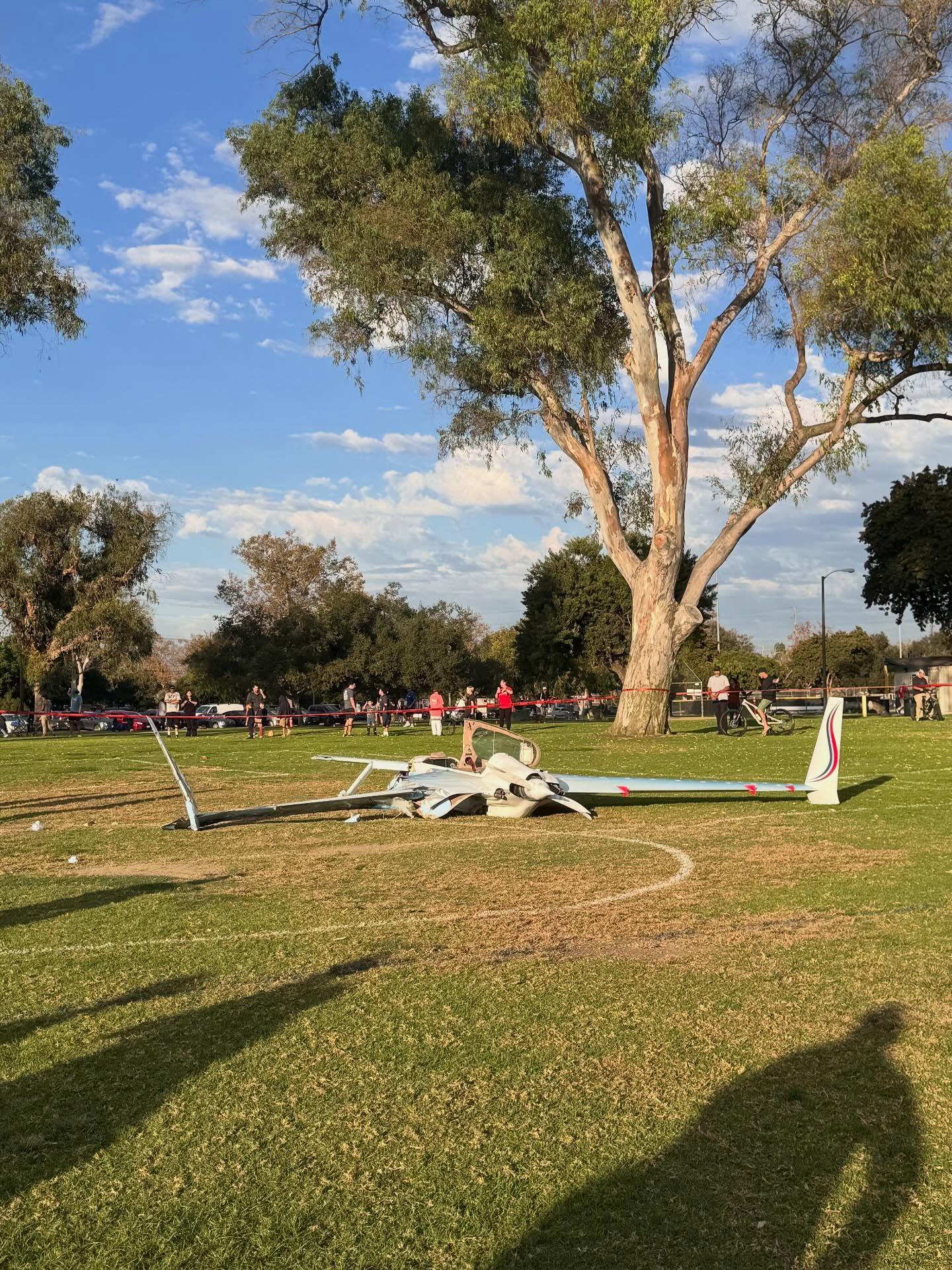 Uma mulher surda sobreviveu a um pequeno avião feito sob medida que bateu nela enquanto passeava com seu cachorro em um campo de futebol.