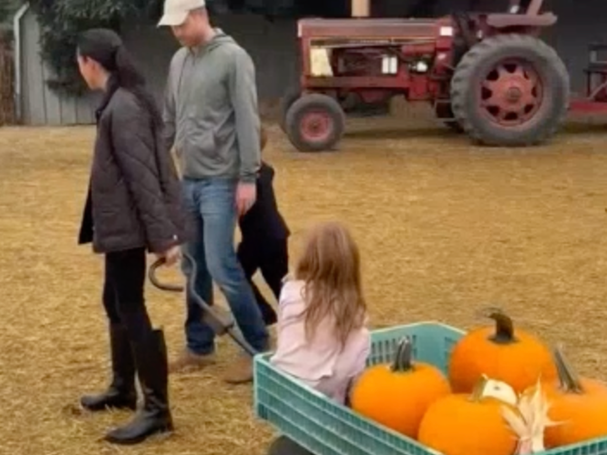 🎃 “WHAT IS GOING ON?!” — Prince Harry’s Pumpkin Carving Video Sparks ...