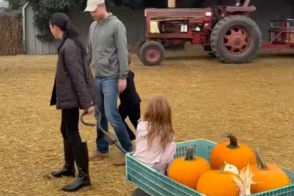 Meghan and Harry enjoy pumpkin picking with Archie and Lilibet