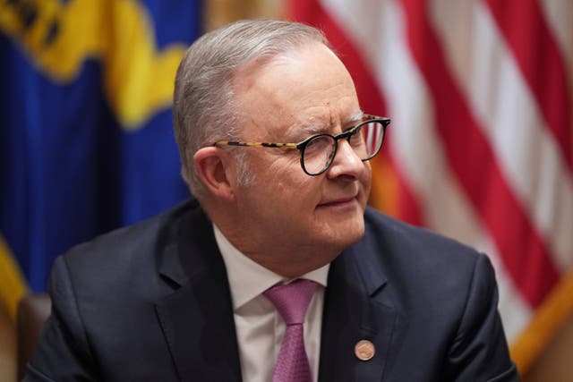 <p>Anthony Albanese, the Prime Minister of Australia </p>