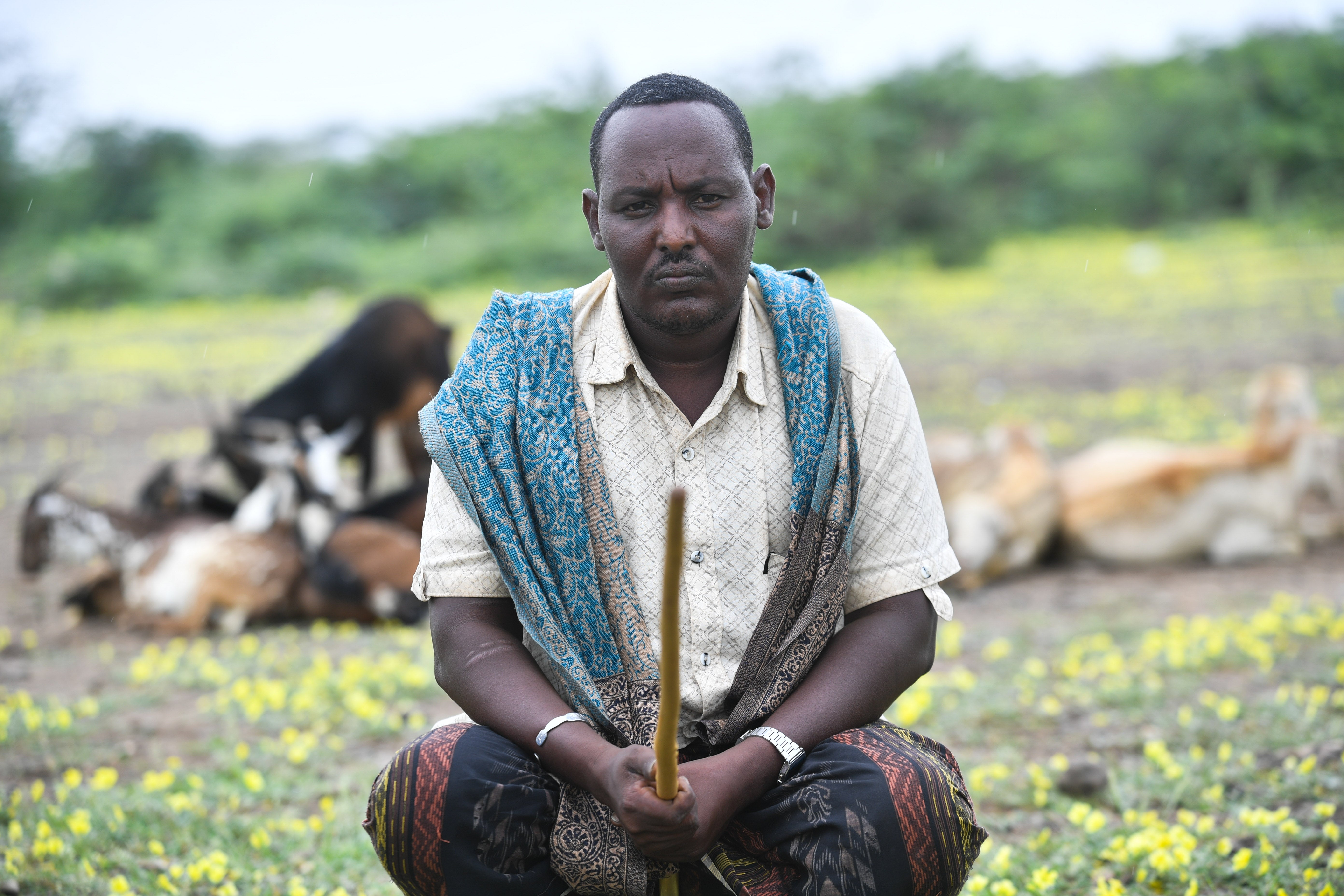 Mehamed Ali-Sisa, a father-of-five and leader of the 900-strong village of Kebena, told The Independent that, following three natural disasters and the gradual withdrawal of NGOs this year, he is worried about “basic services like health, education, and food”