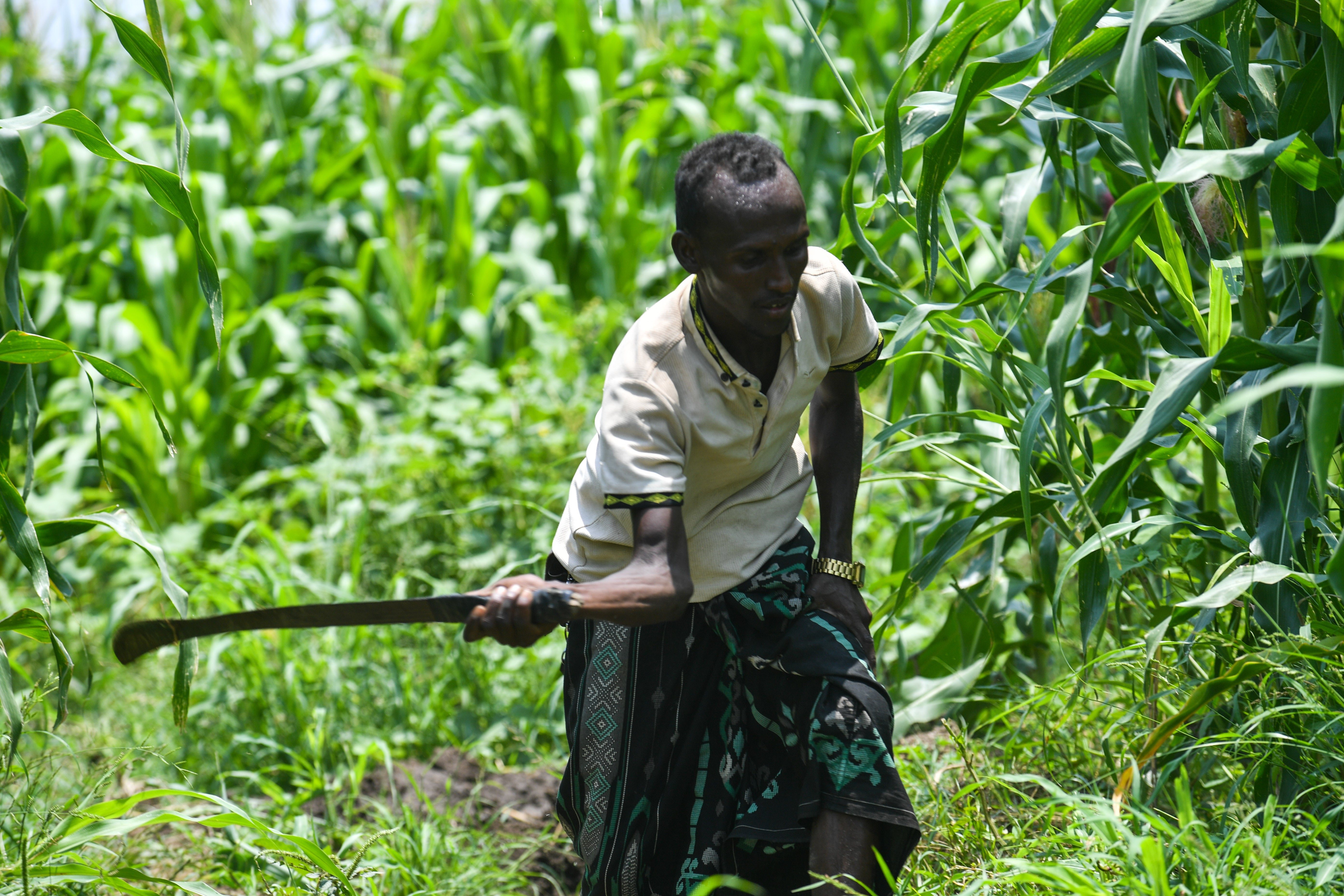 Father-of-four Saidou, who WFP has also helped with his farming activities in Afar