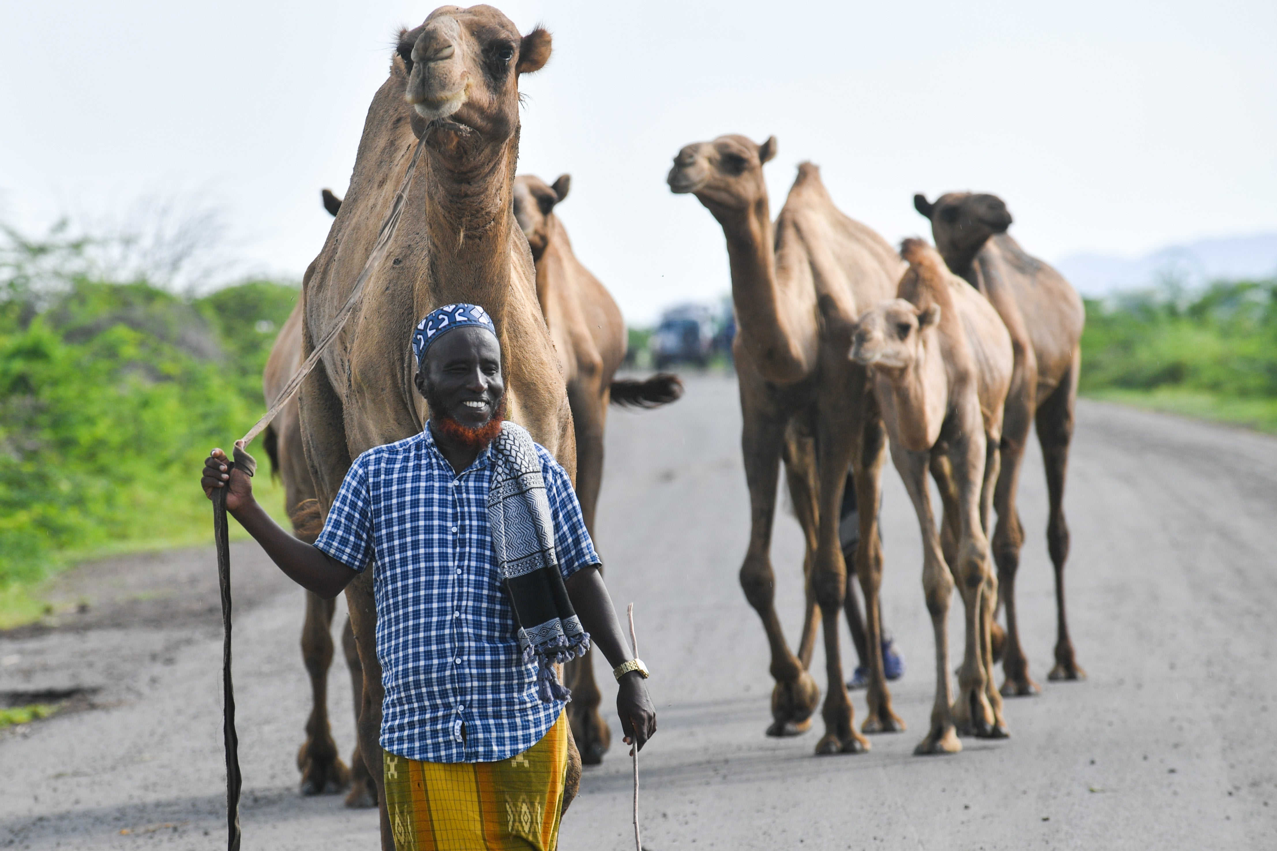 Said Muhaba is a farmer and pastoralist in the Afar Region of Ethiopia with 10 camels, 10 cattle, and 20 goats. He told The Independent that WFP has played a key role in making his farming activities more resilient to climate change