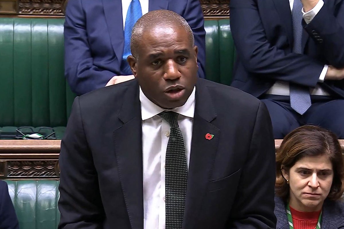 Inquiry to be launched into how sex offender was mistakenly set free, says Lammy