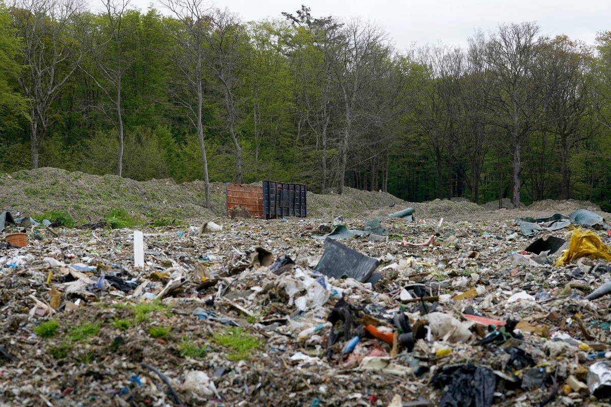 Kent ancient woodland cleared from ‘worst waste dump’ ever seen in £15 million operation
