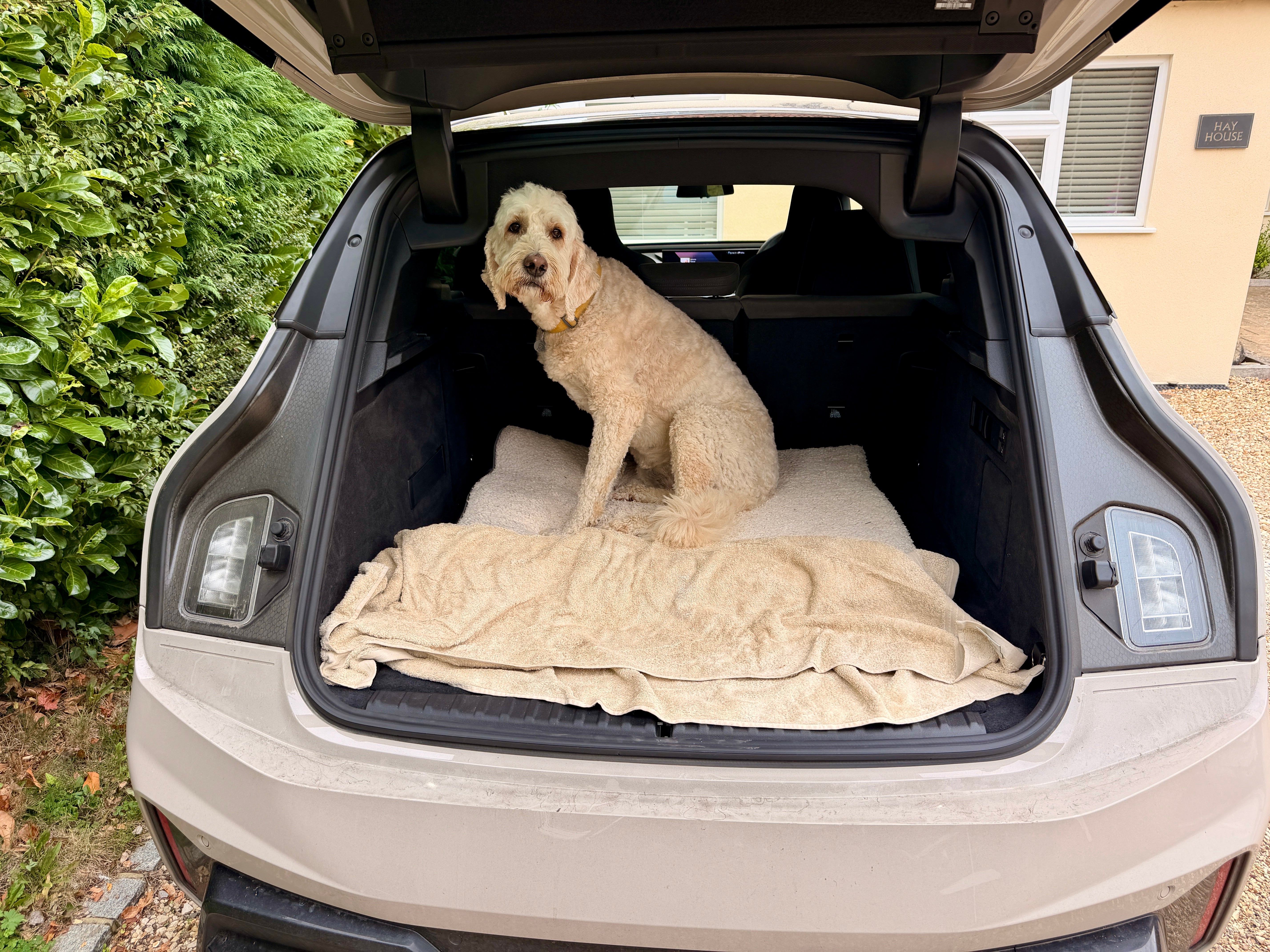 Sky's face tells the story - she was the only Fowler who didn't really love the BMW iX