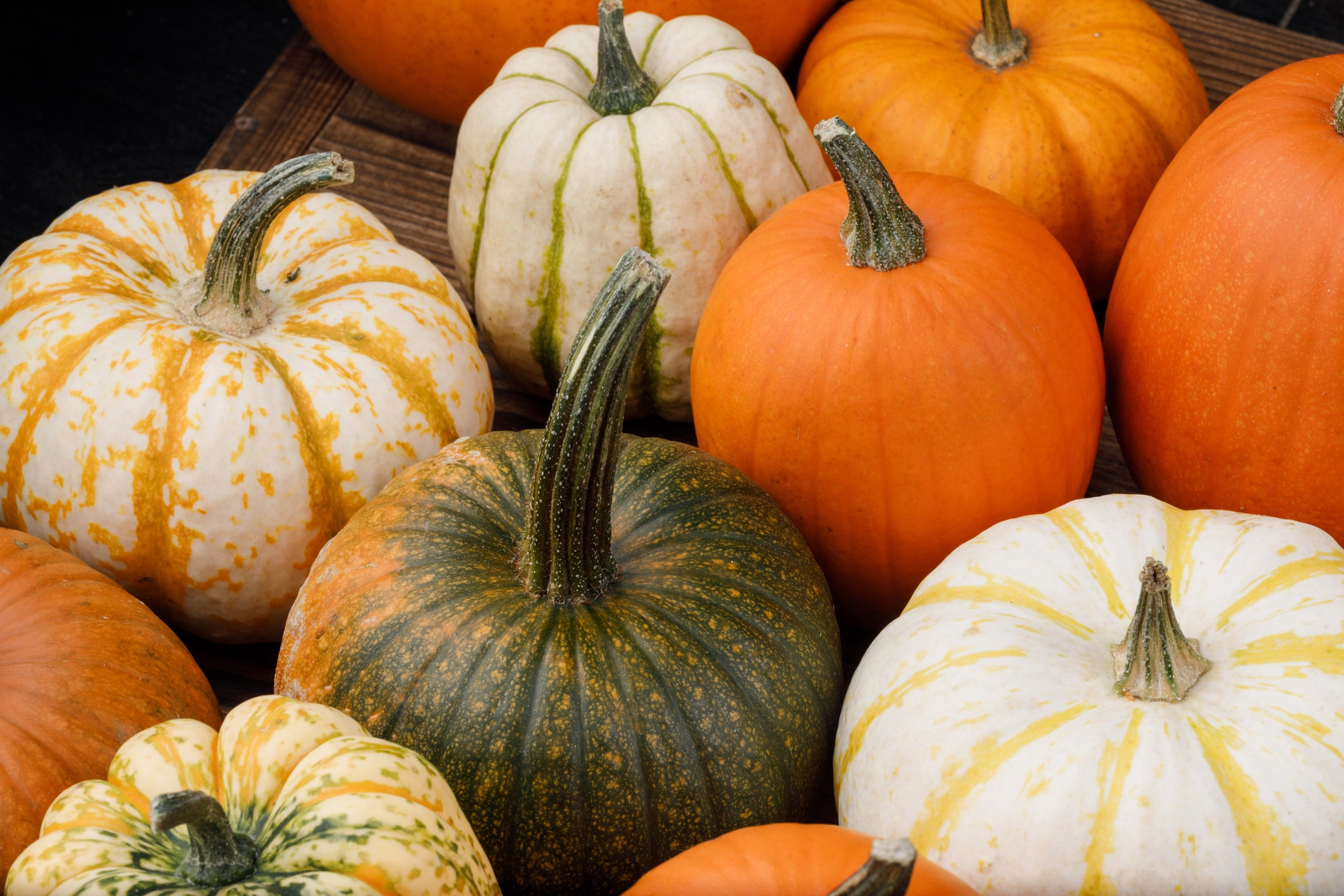<p>Every part of a pumpkin is edible.</p>