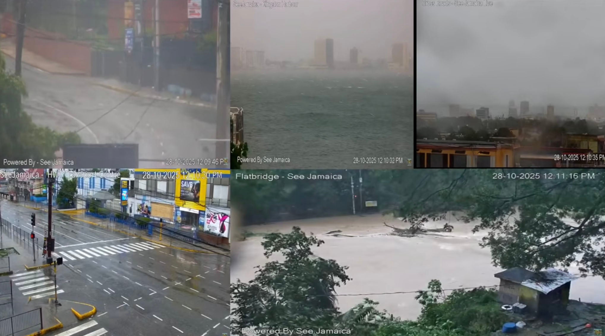 ‘Are we all as insignificant as ants? These storms and these huge forces of nature make you realise how insignificant you are’