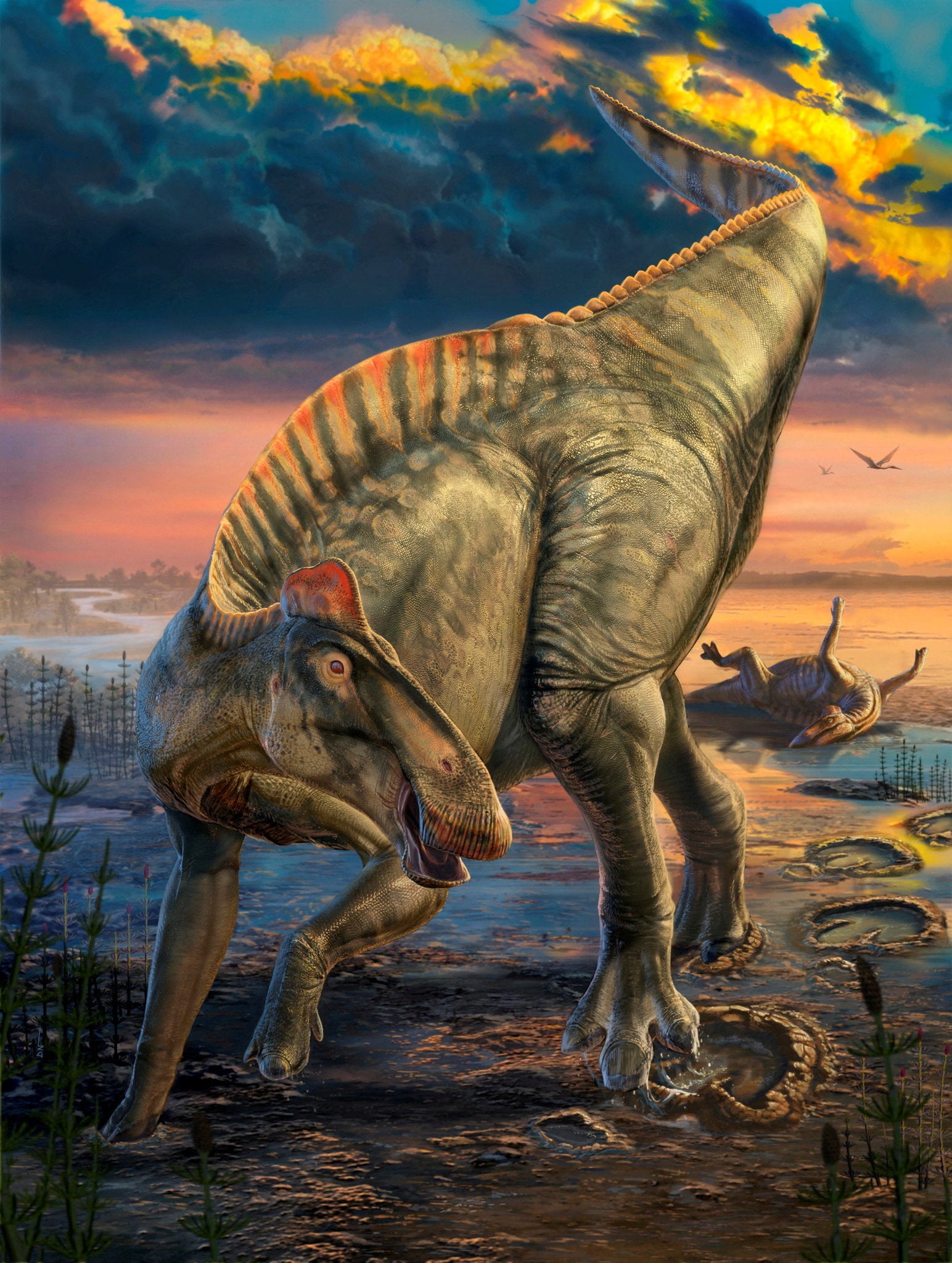<p>Remains of two dinosaur ‘mummies’ found in Wyoming more than 100 years ago were so well preserved that they still have skin, spikes and hooves intact, according to researchers</p>