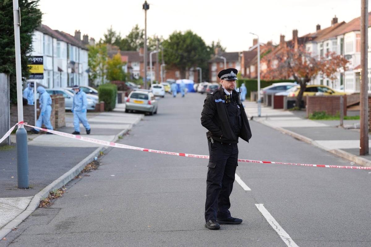 Dog walker killed in ‘senseless’ Uxbridge triple stabbing is named