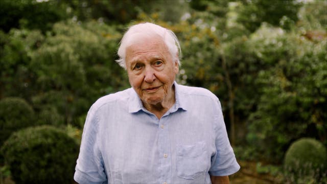 <p>Sir David Attenborough has backed the appeal </p>