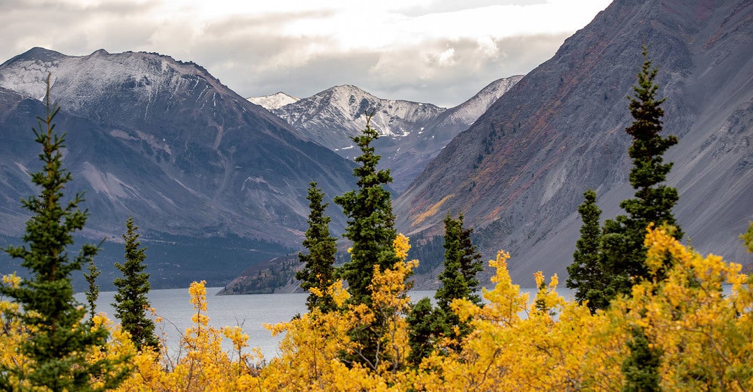 Take in the dramatic landscapes and wild beauty of Alaska in Haines
