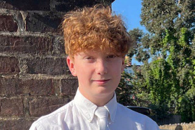 <p>Sixteen-year-old Harry Pitman was killed on 31 December 2023</p>