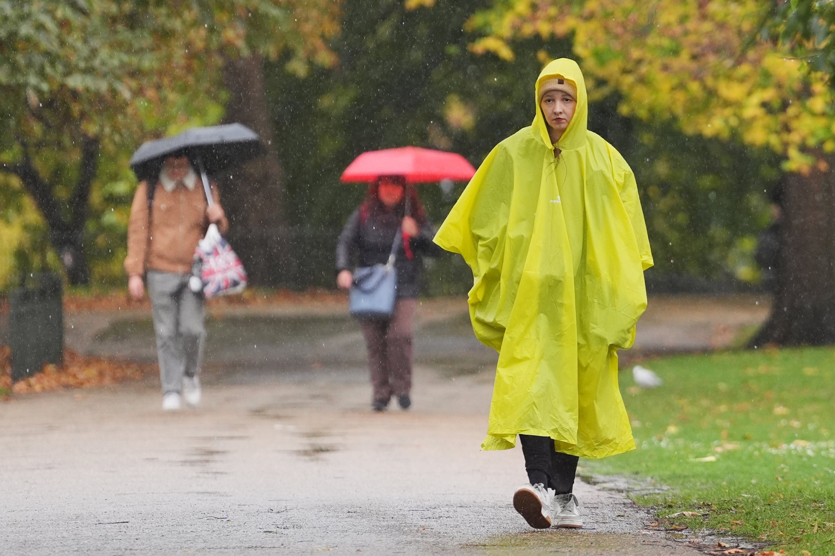 <p>People walking in the rain in St James's Park, London, this week</p>