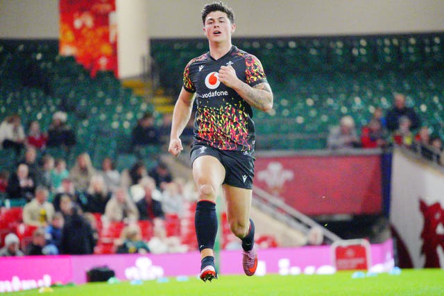 <p>Louis Rees-Zammit has been named on the Wales bench against Argentina</p>