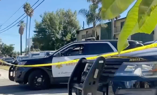 <p>Destiny Harrison, 27, was arrested after police found the body of her seven-year-old in her freezer</p>