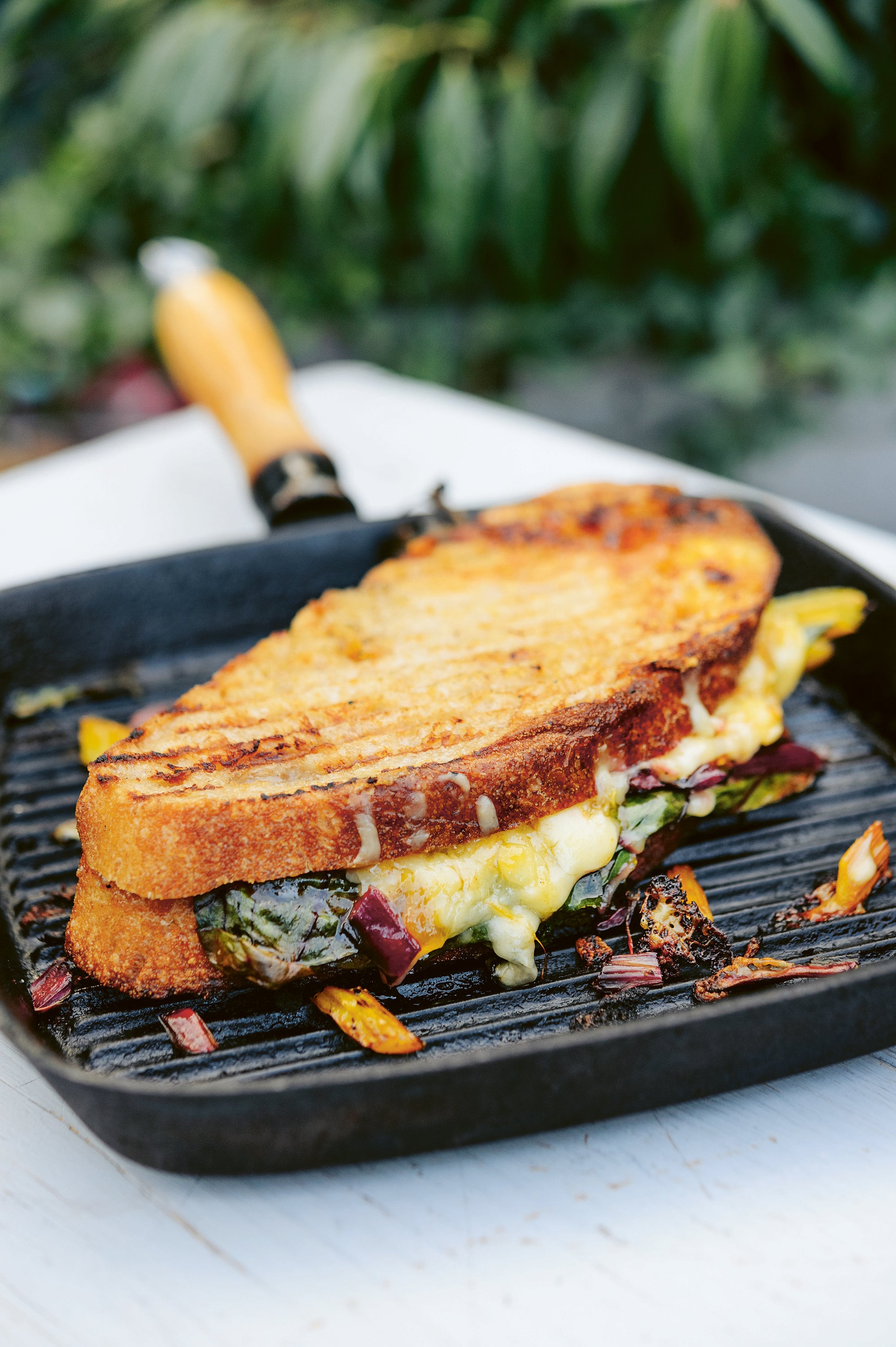 <p>Proof that greens belong in a toastie – Genevieve Taylor’s rainbow chard version is a smoky, cheesy revelation</p>