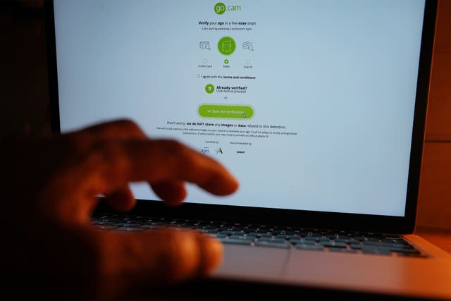 Several websites introduced age verification gateways once the Online Safety Act came into force (Yui Mok/PA)