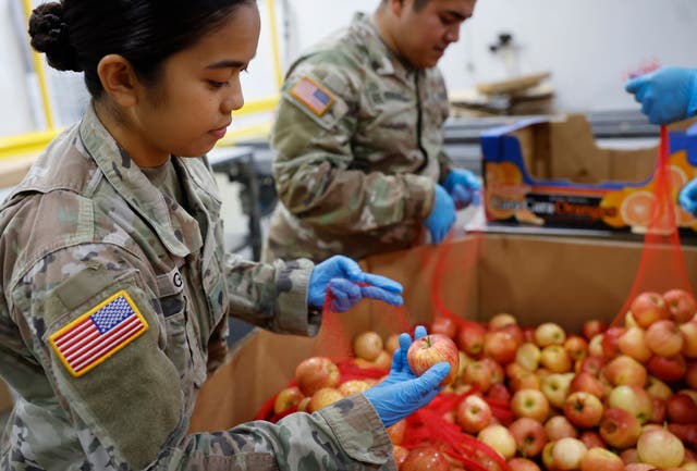 <p>California Army National Guard members sort apples at the LA Regional Food Bank in Los Angeles on October 29 2025 as the state prepares emergency food boxes for distribution to residents who stand to lose their SNAP benefits</p>