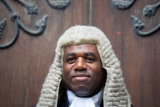 As Lord Chancellor, David Lammy can remove people from the roll of the peerage (James Manning/PA)