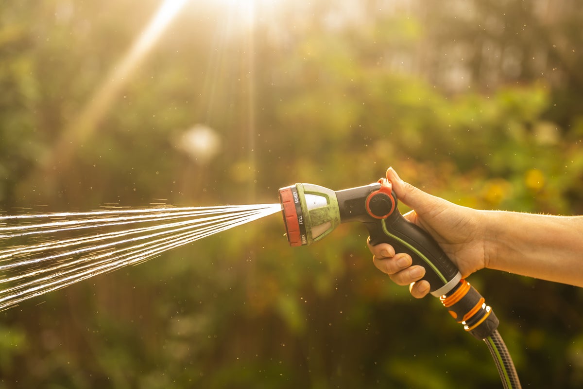 Winter hosepipe bans on the cards as England faces drought