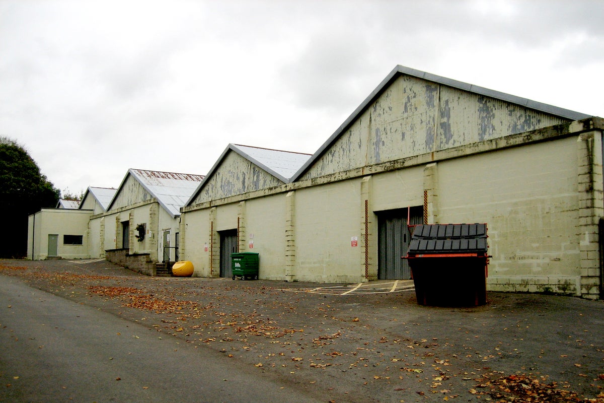 Ex-army sergeant major who sexually assaulted soldier before her death is jailed