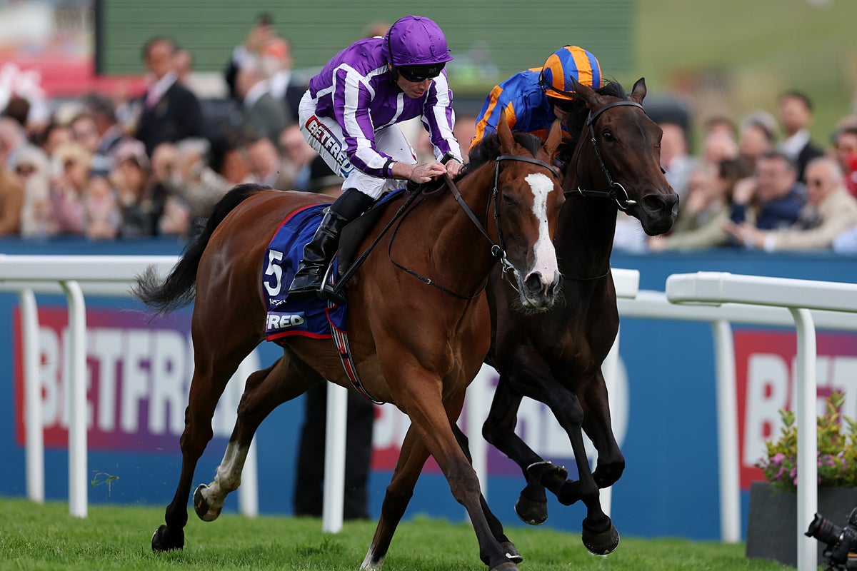 Breeders’ Cup Betting Tips: Predictions & Odds for Saturday – UK Times