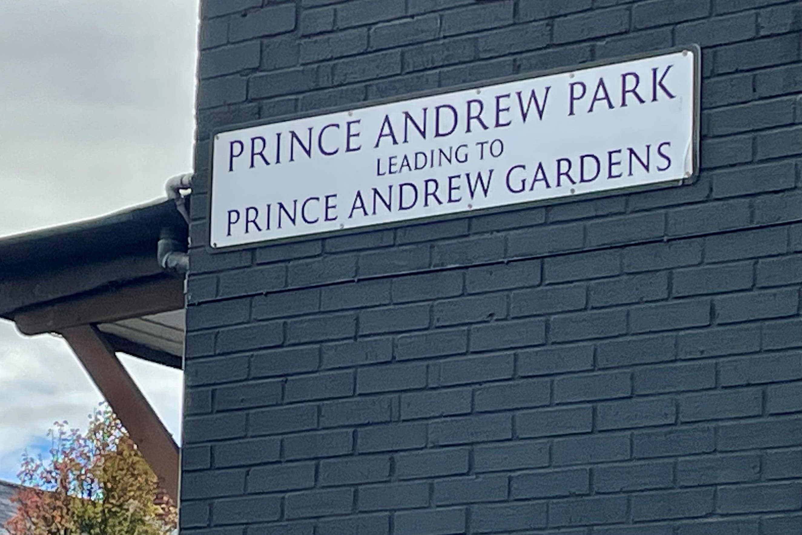 Councillors are set to debate a motion to change the names of Prince Andrew Park and Prince Andrew Gardens in south Belfast (PA)