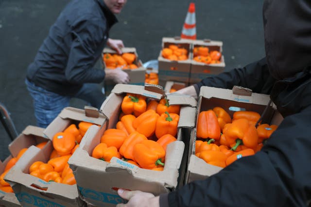 <p>Volunteers with New York Common Pantry unload food on October 30, 2025 in New York City</p>