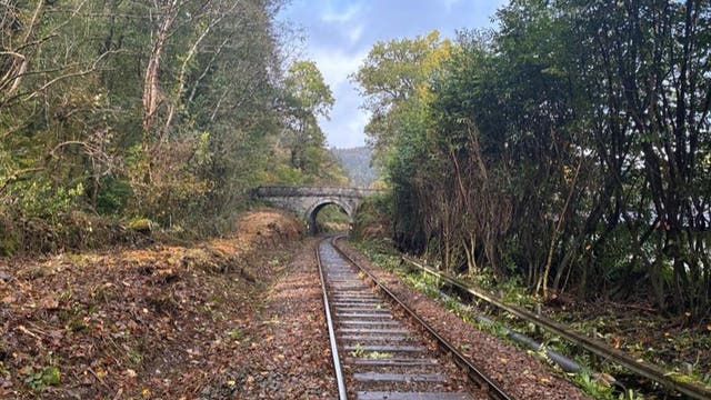 <p>High-risk trees and vegetation have been cleared along 54 miles of track</p>