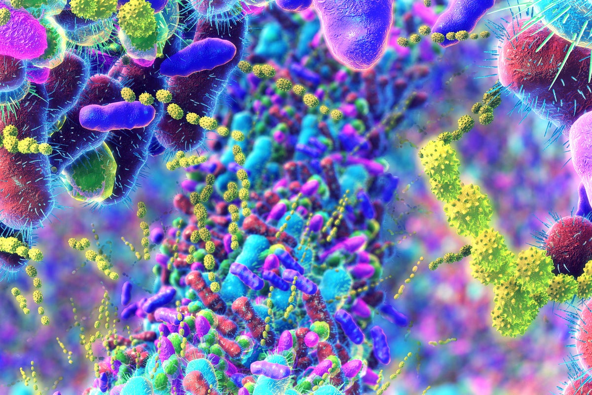 Early signs of Parkinson’s disease is shown in the gut, study finds