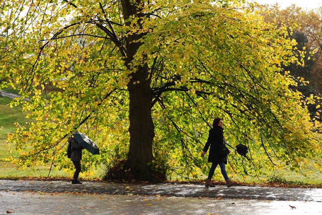 <p>People with umbrellas walking in Greenwich Park, London </p>