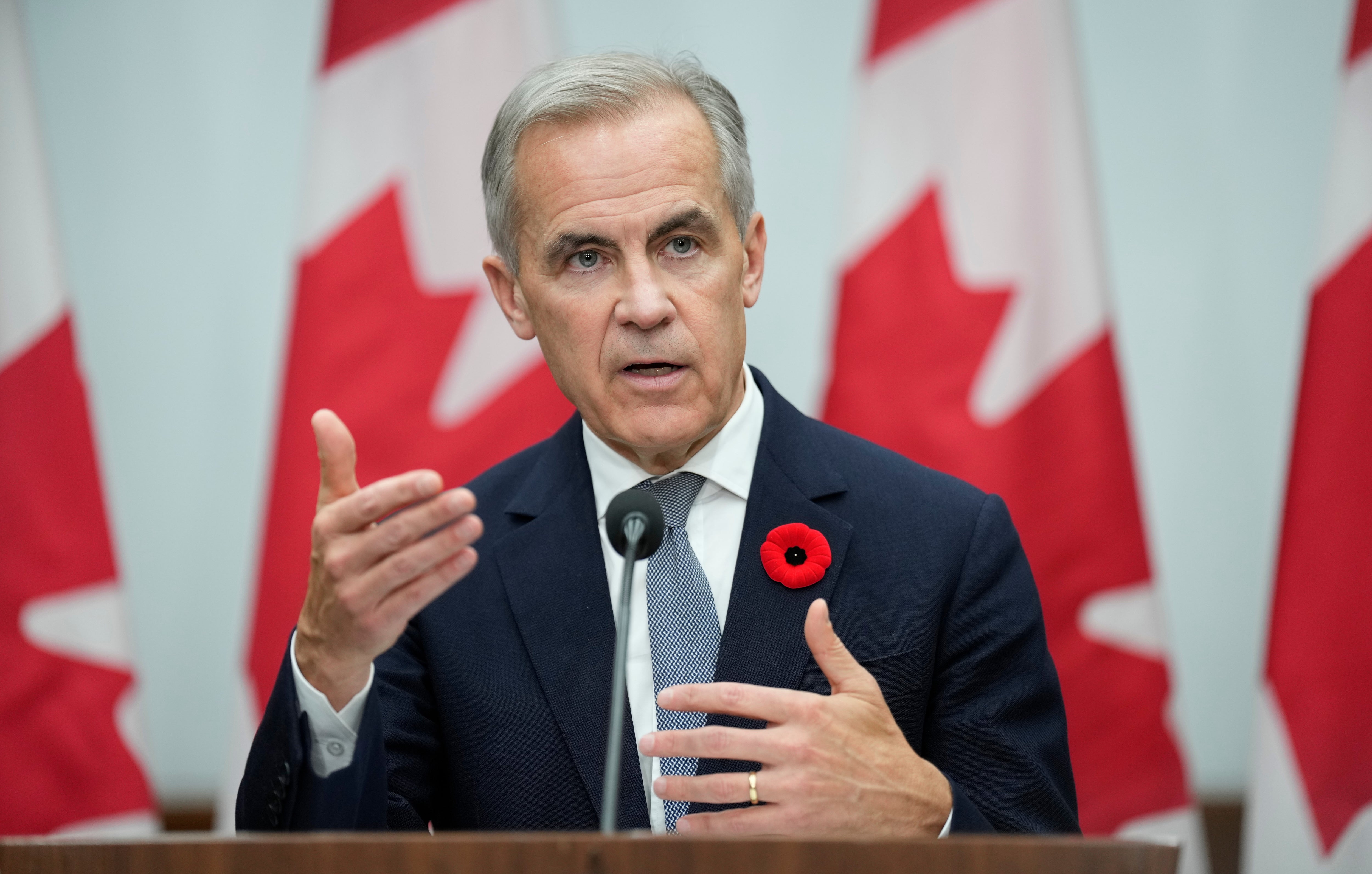 <p>Prime Minister Mark Carney </p>