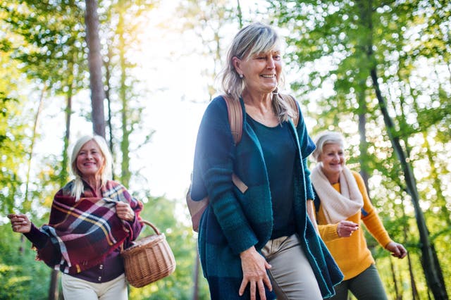 <p>People who walked more also had better cardiovascular health – lower cholesterol, better sleep and blood pressure and reduced diabetes risk. </p>