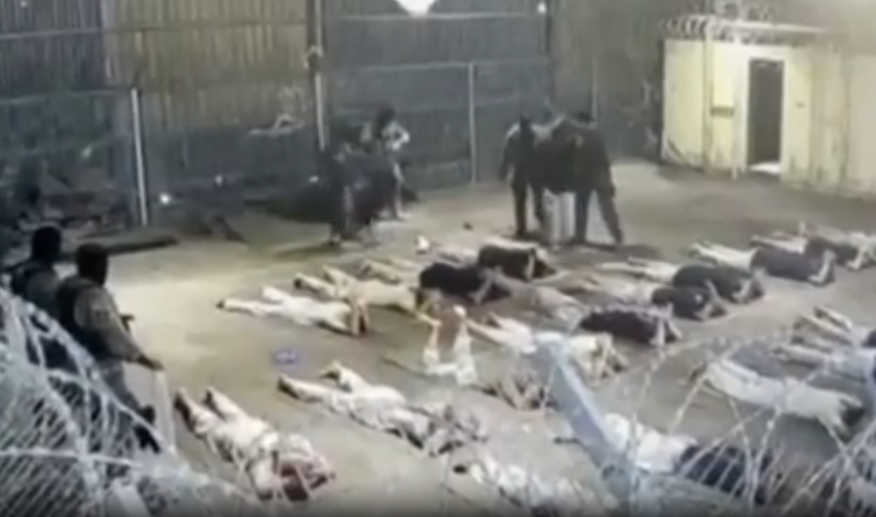 The footage was leaked last year, leading to multiple arrests