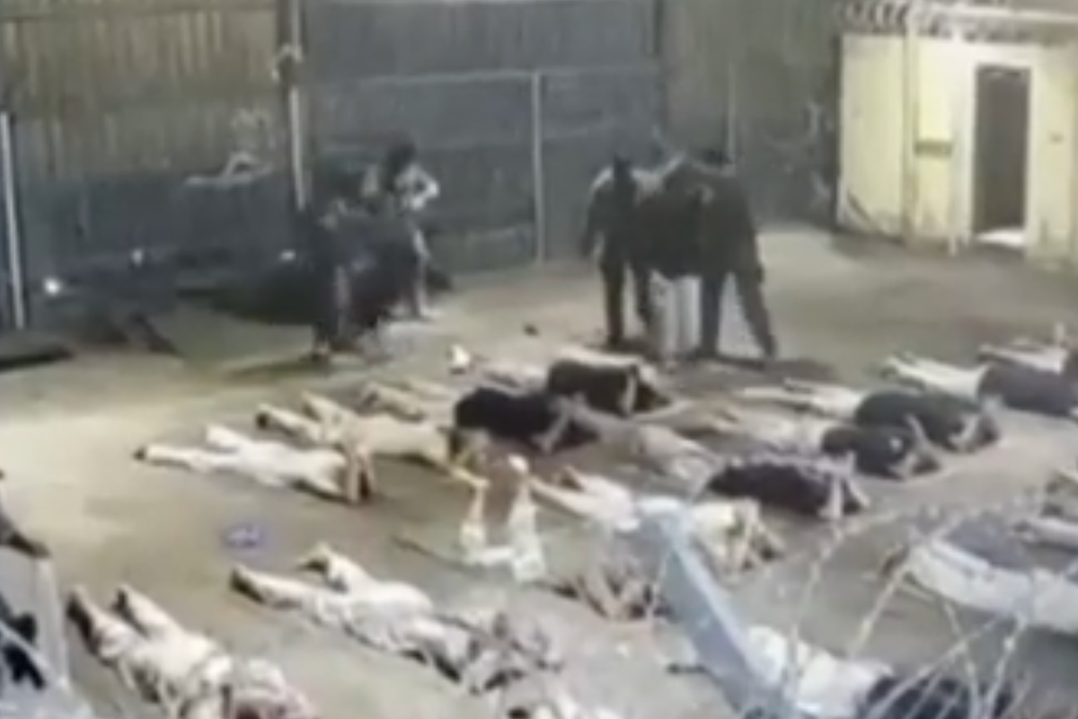 Israeli military’s top lawyer arrested after admitting to leaking ‘abuse’ footage