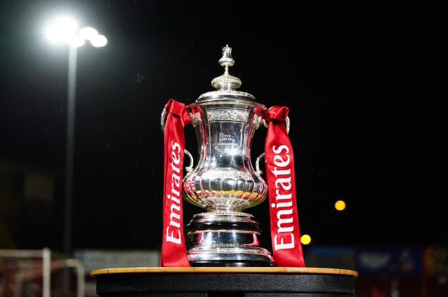 <p>A view of the FA Cup before the Emirates FA Cup first round match at The Lamb Ground, Tamworth</p>