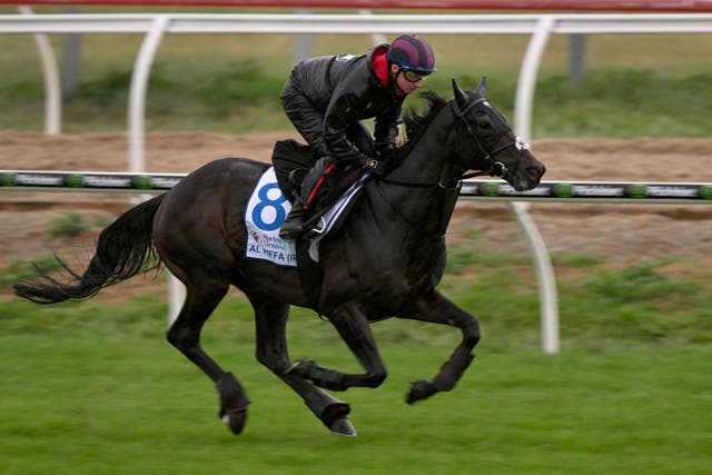 <p>Al Riffa running ahead of the Melbourne Cup</p>