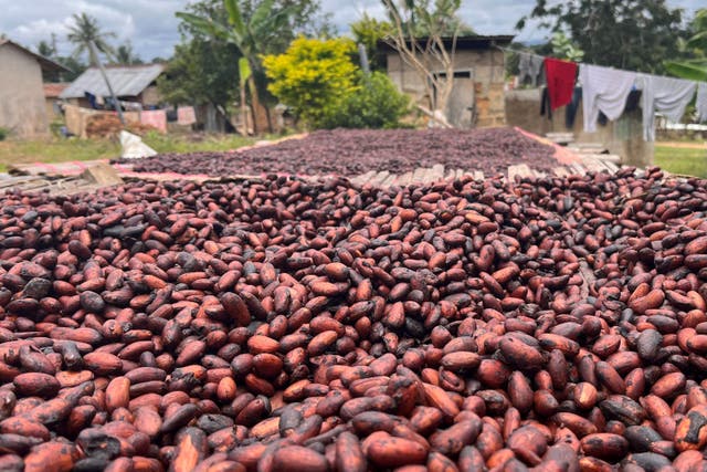 Regions such as West Africa are being hit by climate change (Emily Beament/PA)