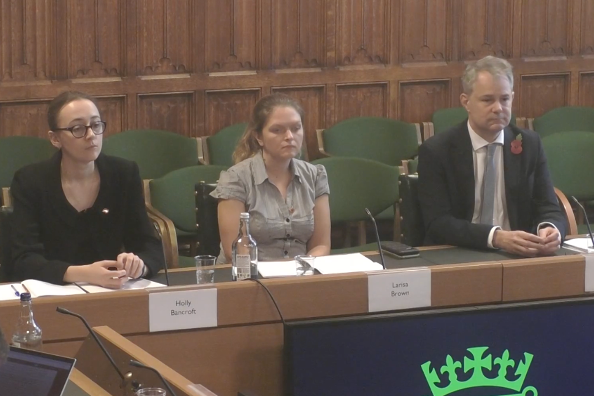 What I told MPs about the government's catastrophic Afghan data leak